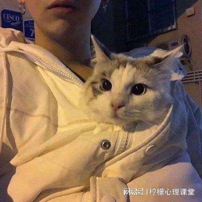 266小游戏大全下载