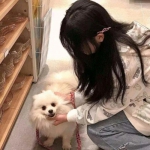 九剑变态版手游下载