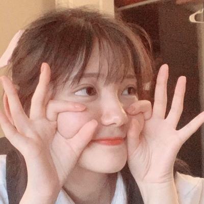 阿罗拉之战百度官方版下载